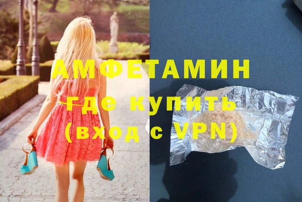 сатива Бородино