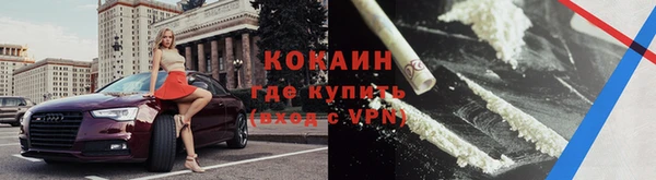 сатива Бородино