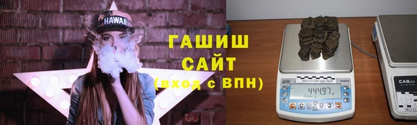 сатива Бородино