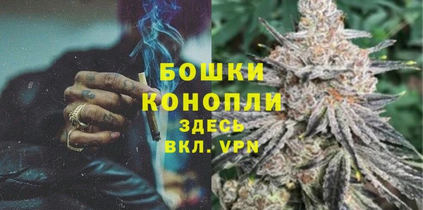 сатива Бородино