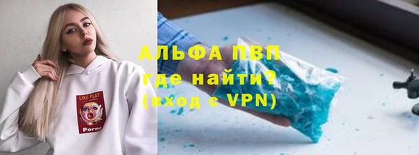 сатива Бородино