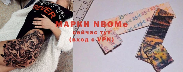 сатива Бородино