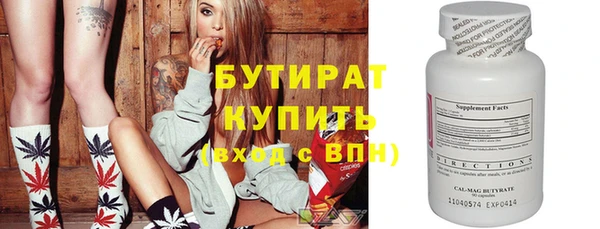 сатива Бородино