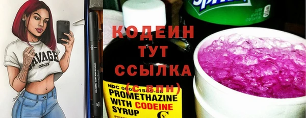 сатива Бородино